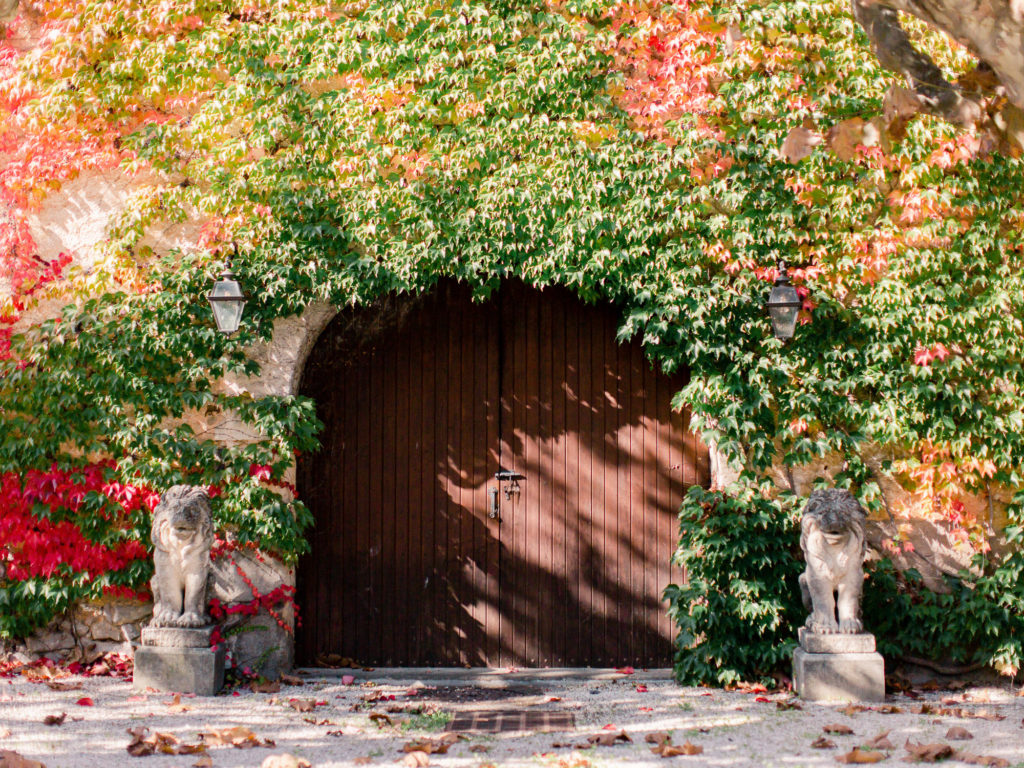 An Elegant Micro Wedding in the South of France