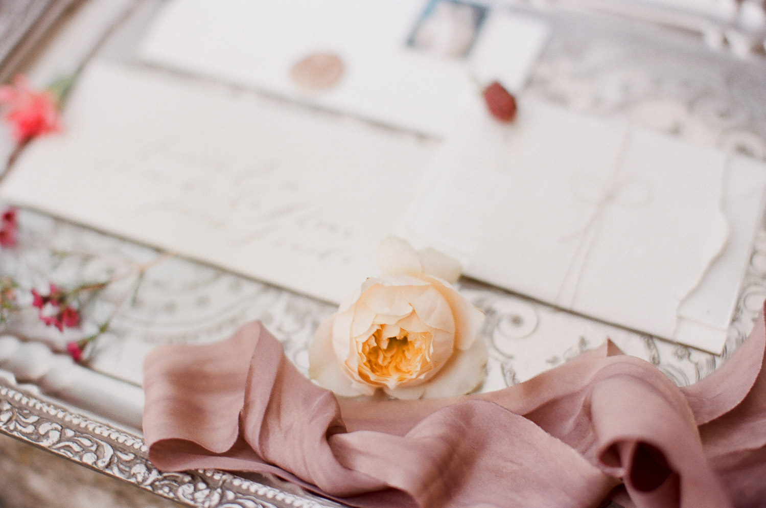 Intimate wedding in Provence
