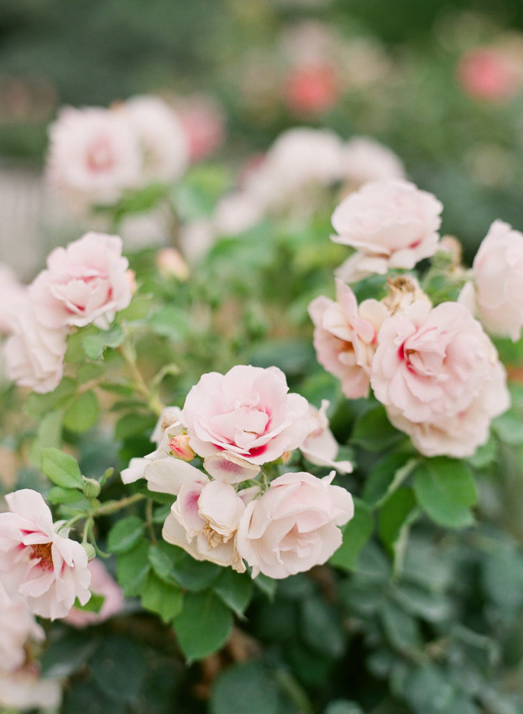 An Elegant Micro Wedding in Paris at Musee Rodin
