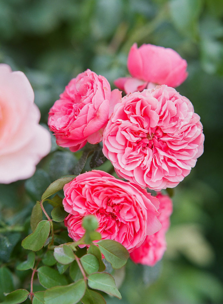 An Elegant Micro Wedding in Paris at Musee Rodin