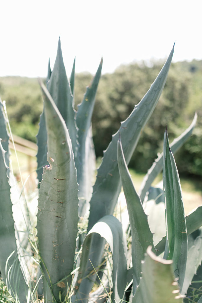 An Intimate Provence Destination Wedding at Domaine Sainte Colombe
