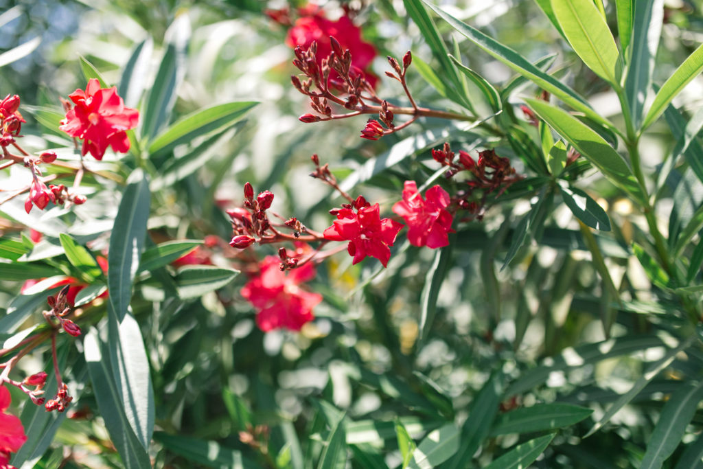 An Intimate Provence Destination Wedding at Domaine Sainte Colombe