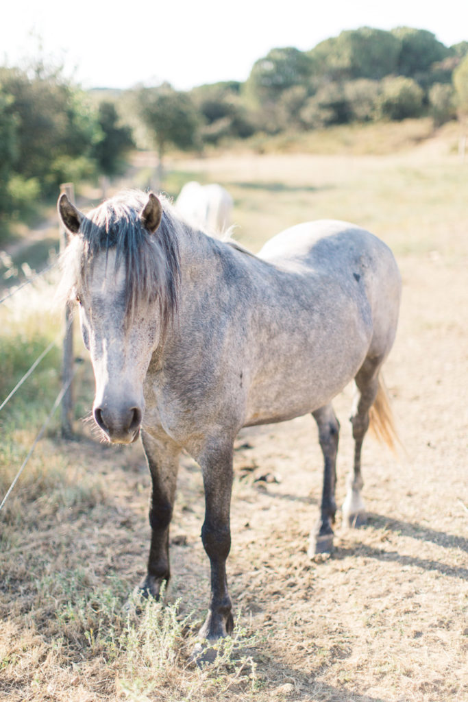 An Intimate Provence Destination Wedding at Domaine Sainte Colombe