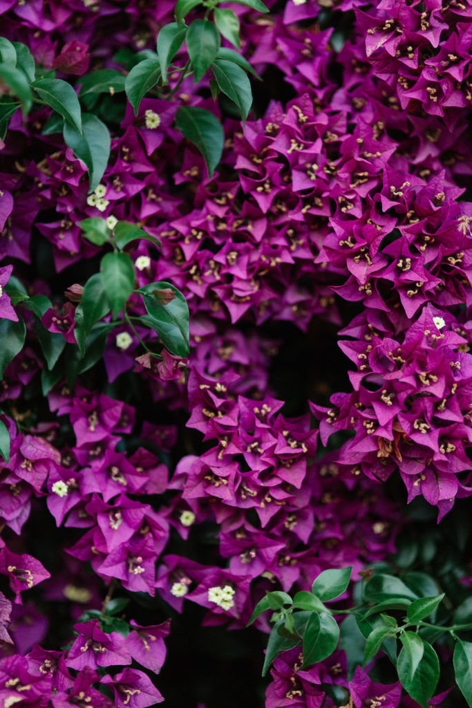 An Intimate Provence Destination Wedding at Domaine Sainte Colombe