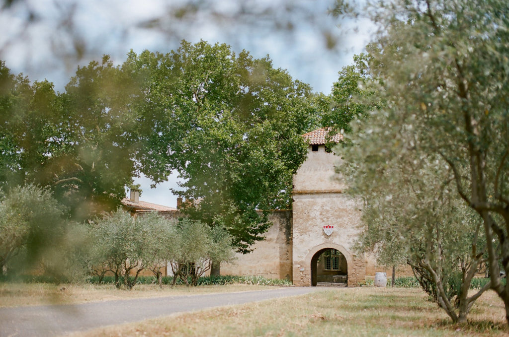 Vineyard wedding in the South of France
