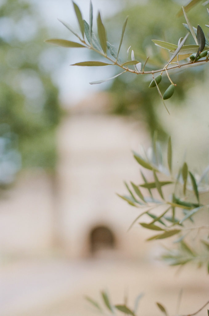Vineyard wedding in the South of France