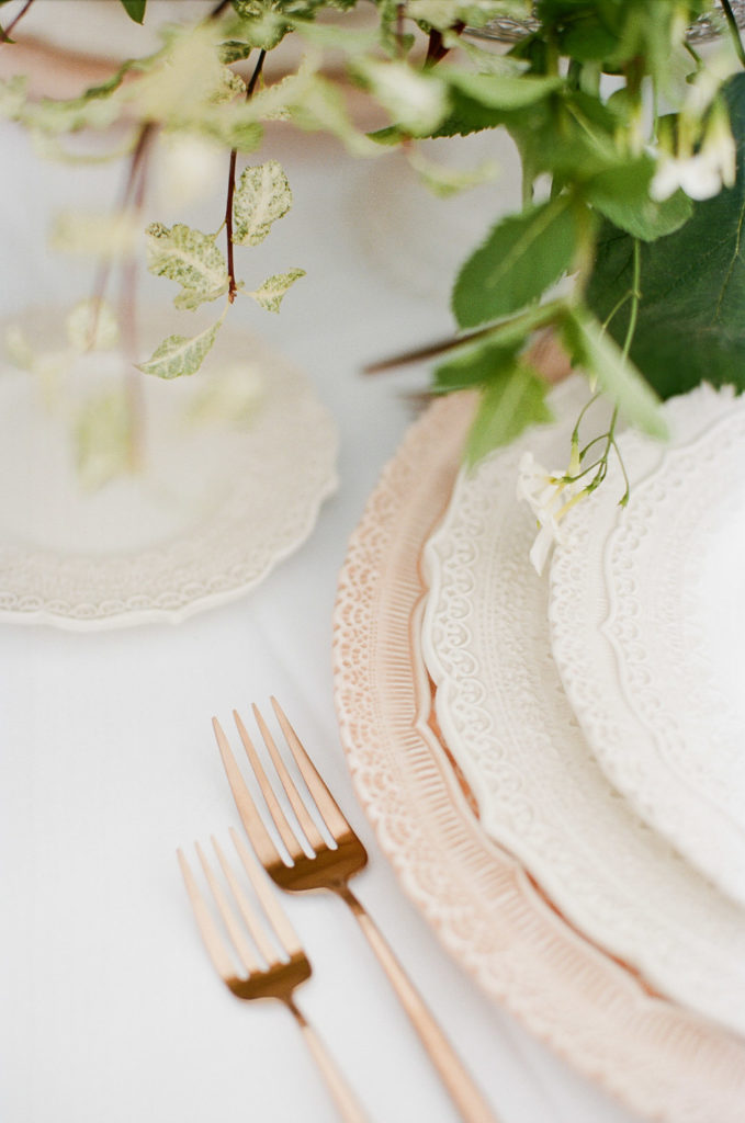 Vineyard wedding in the South of France