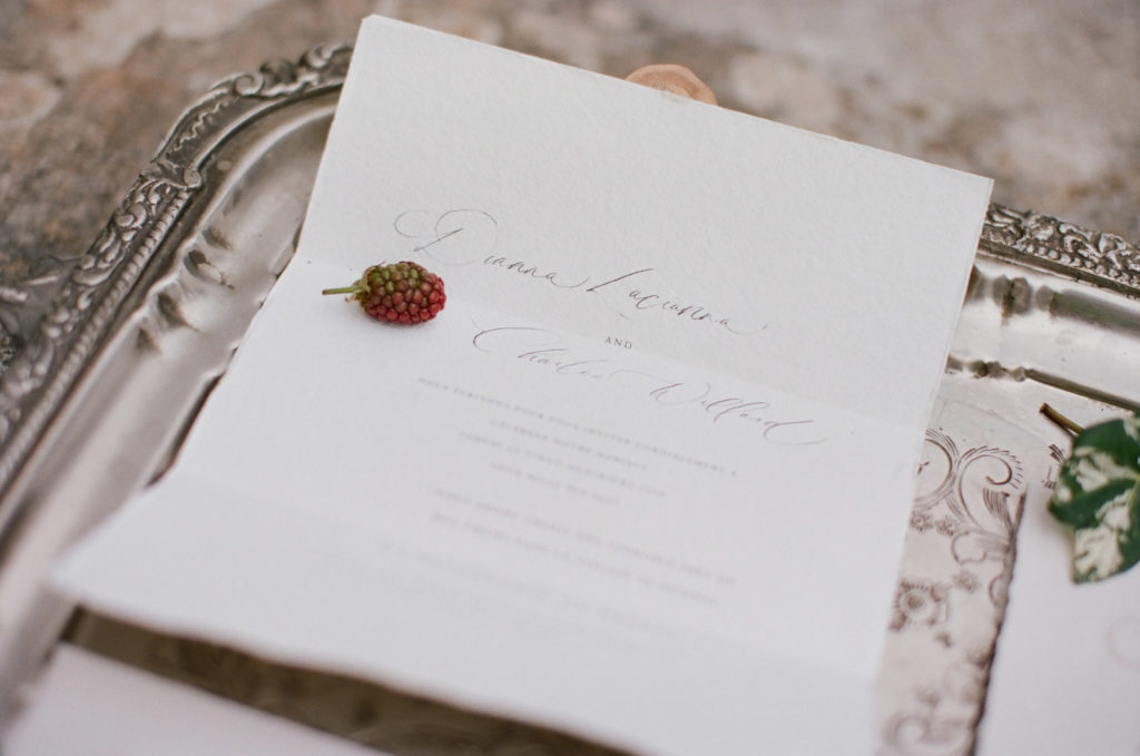 Vineyard wedding in the South of France