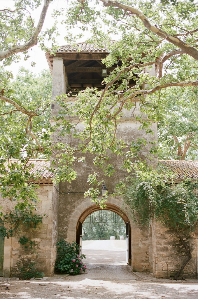 Vineyard wedding in the South of France
