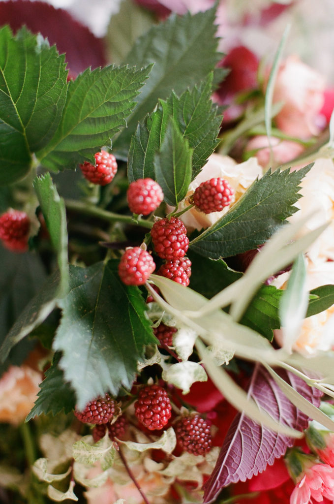 Vineyard wedding in the South of France